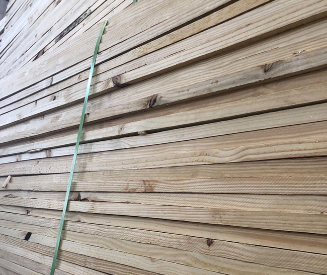 绥芬河巴西松